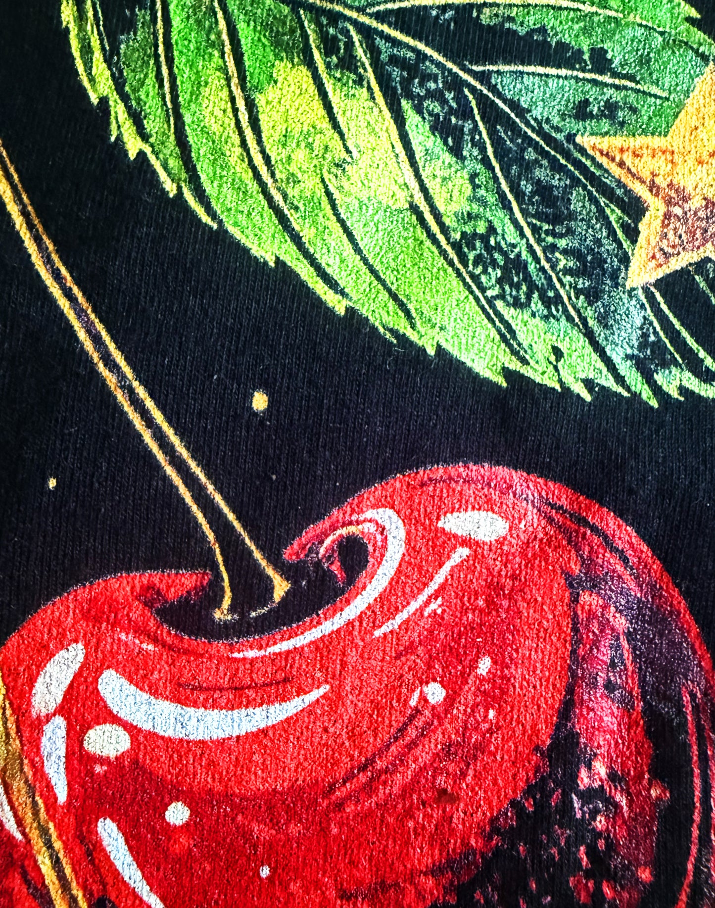 Black Unisex Premium Original Heavyweight Back-Design Tee "Cherries & Coins" by Designer and Artist Lucas Gillon