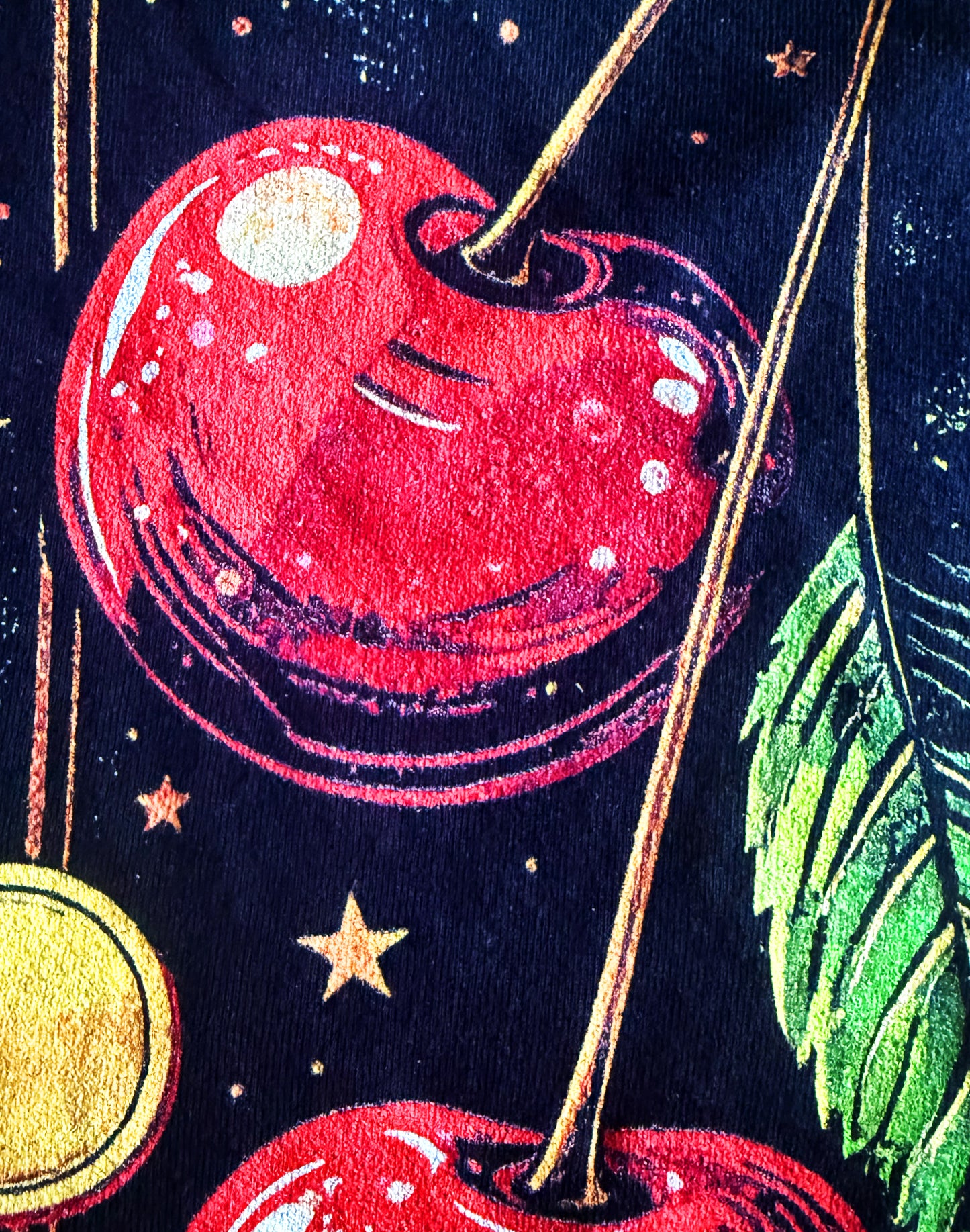 Black Unisex Premium Original Heavyweight Back-Design Tee "Cherries & Coins" by Designer and Artist Lucas Gillon