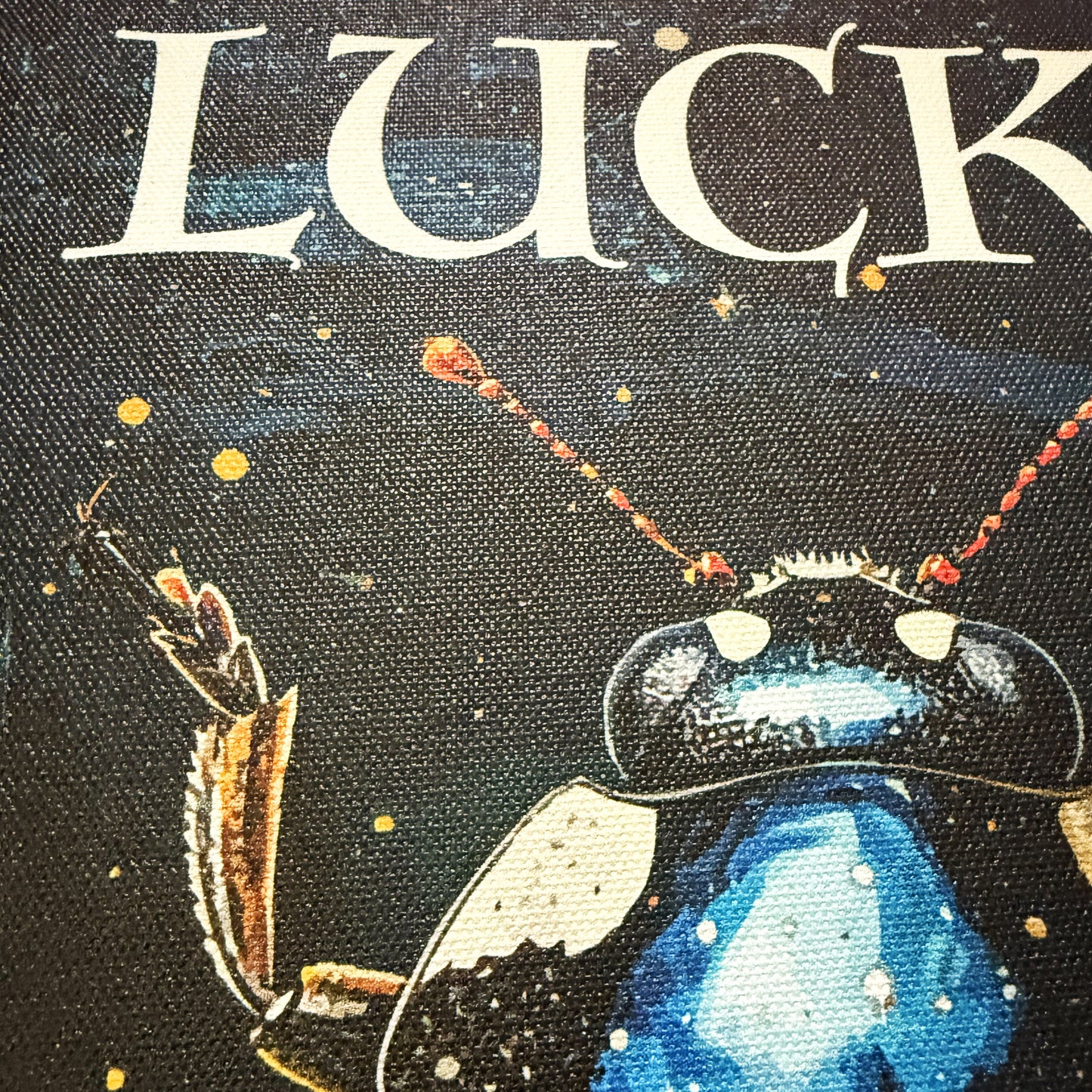 16 x 20 inch Canvas Concept Art "Lucky Man" by Artist and Designer Lucas Gillon